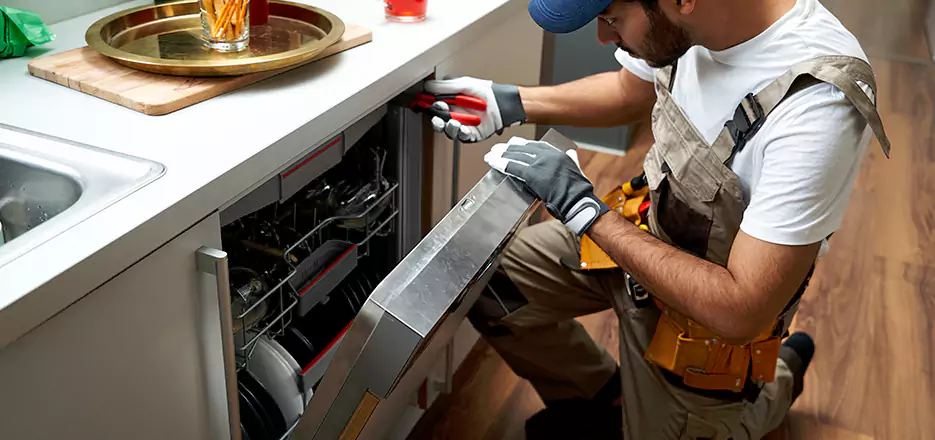 Same Day Dishwasher Not Draining Repair in Clifton